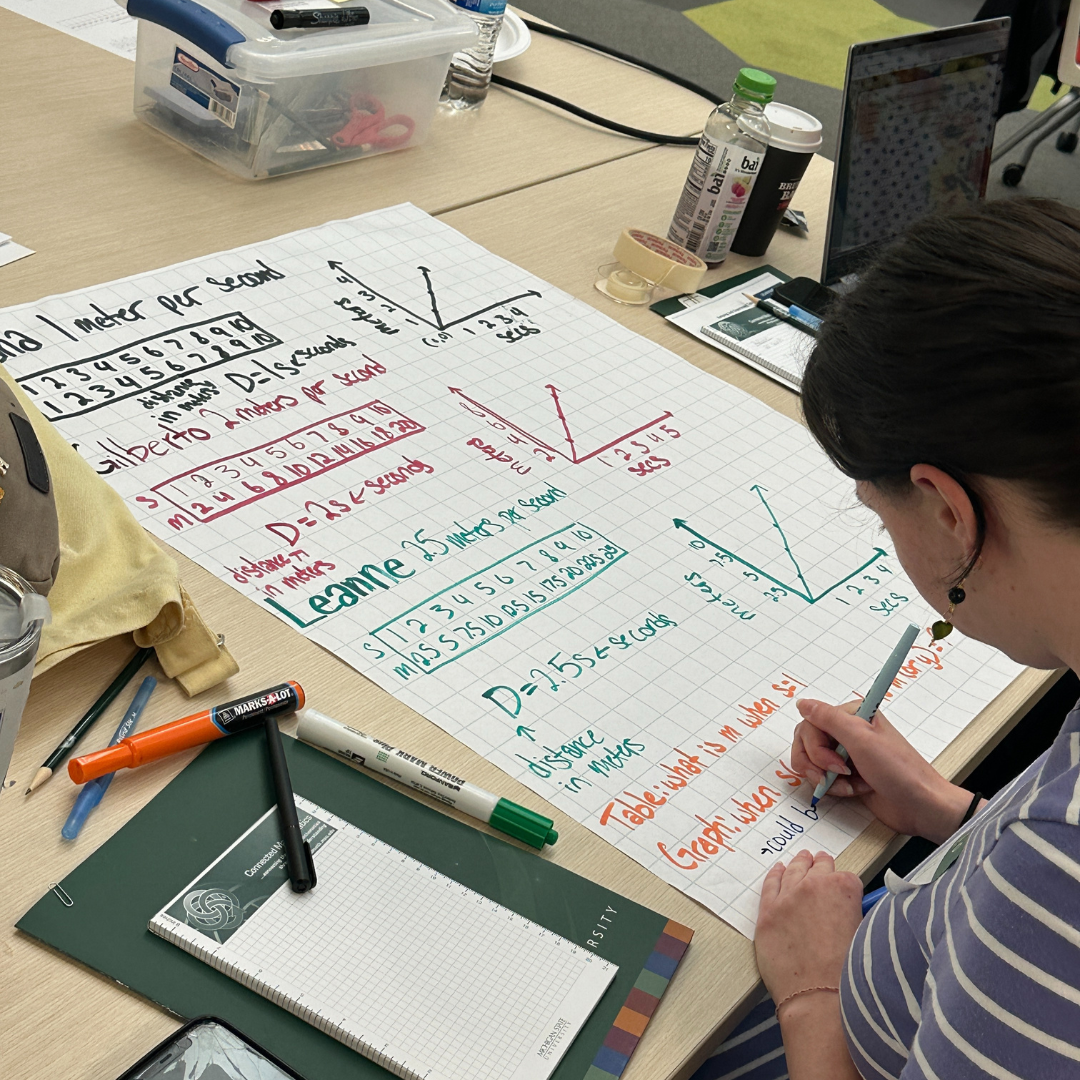 Mini Summer Institute Teachers Working